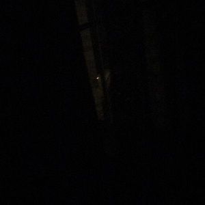 Meet your Posher, Princess stella